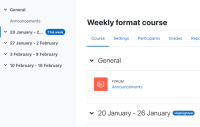 Screenshot 2022-01-26 at 15-39-36 Course Weekly format course.png