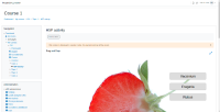 MDL-73562_classic_Step 11.png