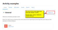 2022-02-19 , 10_44_37 - Course_ Activity examples — Mozilla Firefox.png