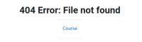 MDL-73935 error page.png