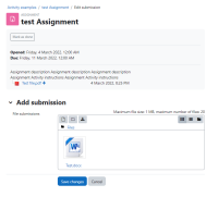 Activity information is shown.PNG