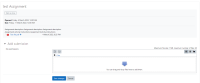 Activity information is shownBOOSTTHEME.PNG