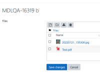 SNAG-0036 04.03.2022 14.27.09.png