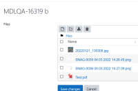 SNAG-0037 04.03.2022 14.27.22.png