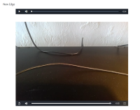 SNAG-0543 07.03.2022 09.05.16.png