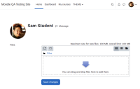 private files page.png