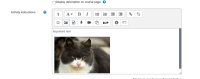 Screenshot_2022-03-14 Editing Assignment.png
