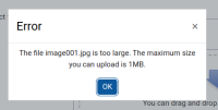 MDLQA-16537 2.png