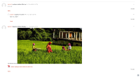MDLQA-16615-4.jpg