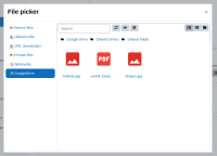 5.GoogleDriveFiles.png