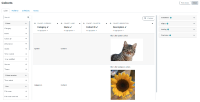 MDL-75119_cohorts.png