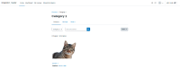 MDL-75119_courses_category1.png