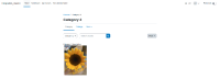 MDL-75119_courses_category2.png