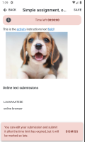 Screenshot 2022-08-23 at 07.39.40.png