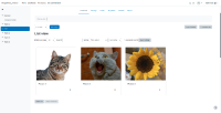 MDL-75252_testing_2.png
