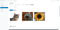 MDL-75252_testing_3.png