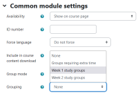 Group options example.png