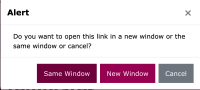 Screenshot 2 once Preview button is left clicked.png