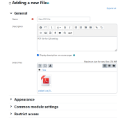 Snip - Editing File Mozilla Firefo.png