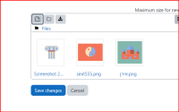 Screenshot 2022-10-27 164950.png