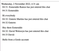 chat_exported_locally.png