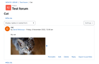flickr_image_in_forum.png