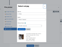 flickr_attach_file.png