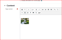 Screenshot 2022-11-04 083128.png