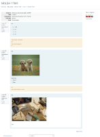 image-2022-11-09-12-06-18-048.png
