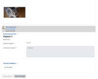 student_feedback_visible.png