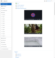 video_controls_working.png