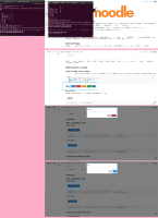 component library.png