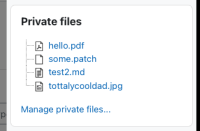 privatefilesblock.png
