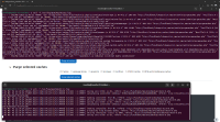 (II) Passed -- (Master)MDL-77277.png