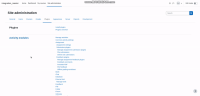 plugin setting.gif