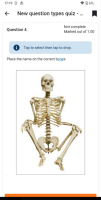 MOBILE-4278_2.png