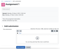 add submission view.png