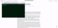 cli.gif