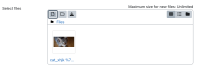 can-select-file.png