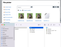 adding-files-and-pressing-search-again-updates.png