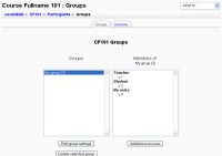 CF101- Groups overview.png