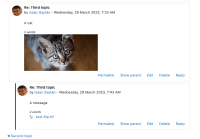 download-possible-with-non-image.png