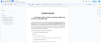 mdl17768_student_original_doc.png