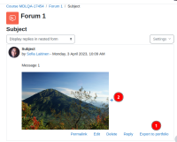 mdlqa17454_portfolio_enabled2.png