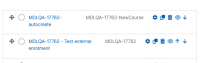 MDLQA-17762 - New MDLQA-17762-autocreate added.png