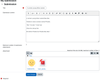 MDLQA-17424 - Edit submission no more attachments.png