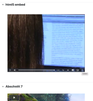 translated_de.png