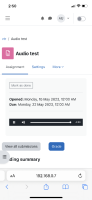 iphone_safari_recorded_audio.PNG