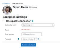 backpackold1.png