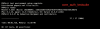 phpunit_core_auth_testsuite.png